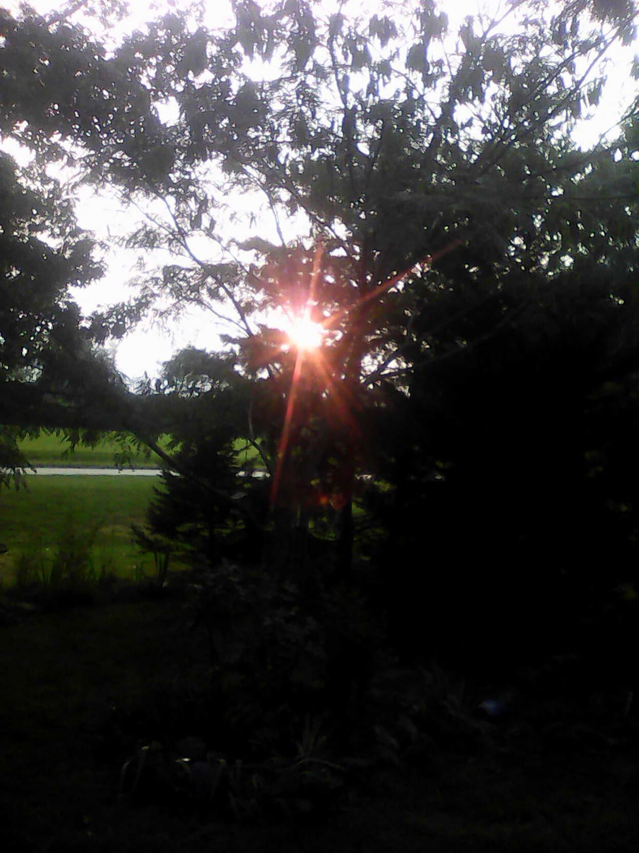 Sunshine